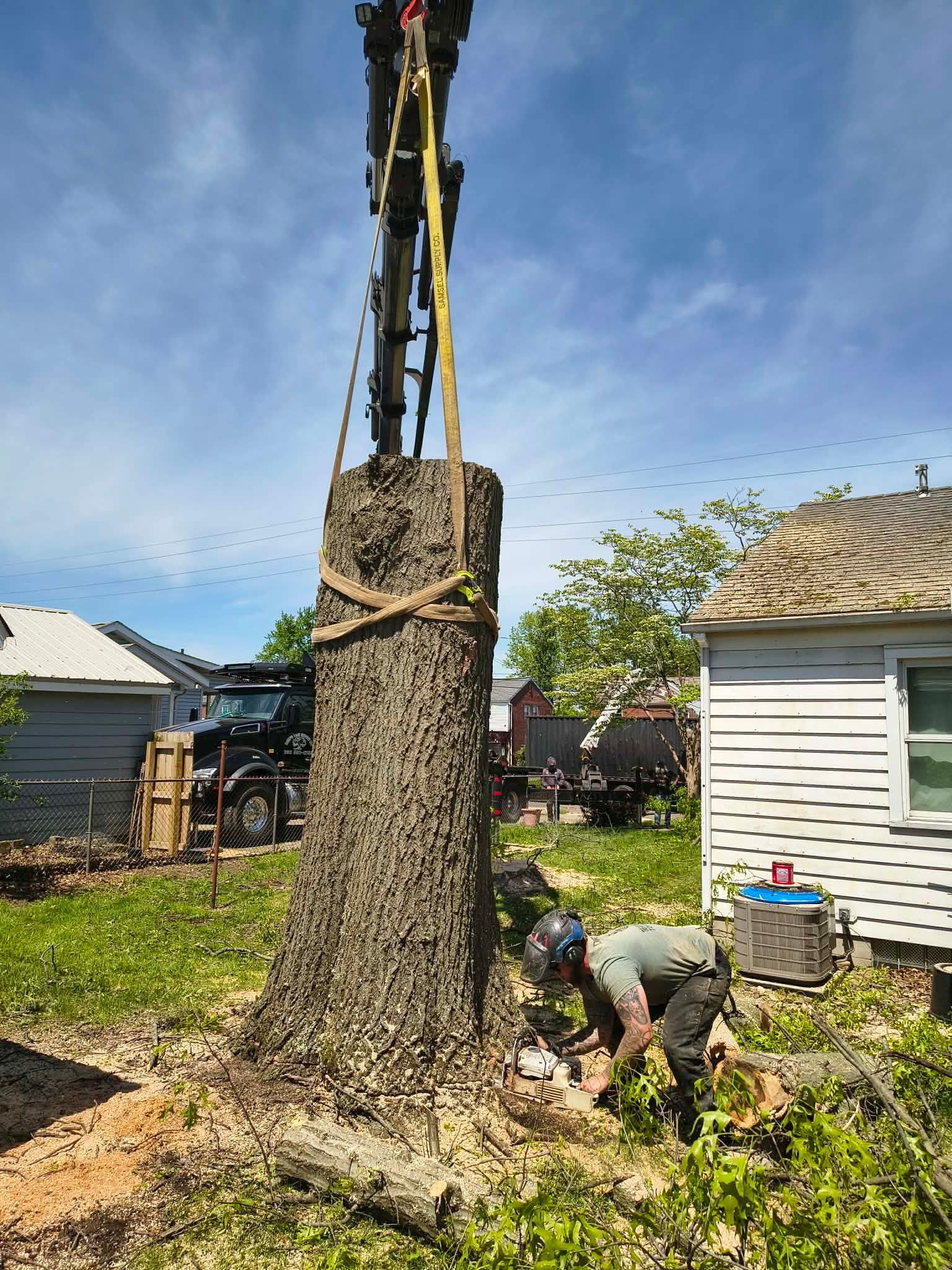 Worker on a lift removing a huge tree stump in a backyard beside a house