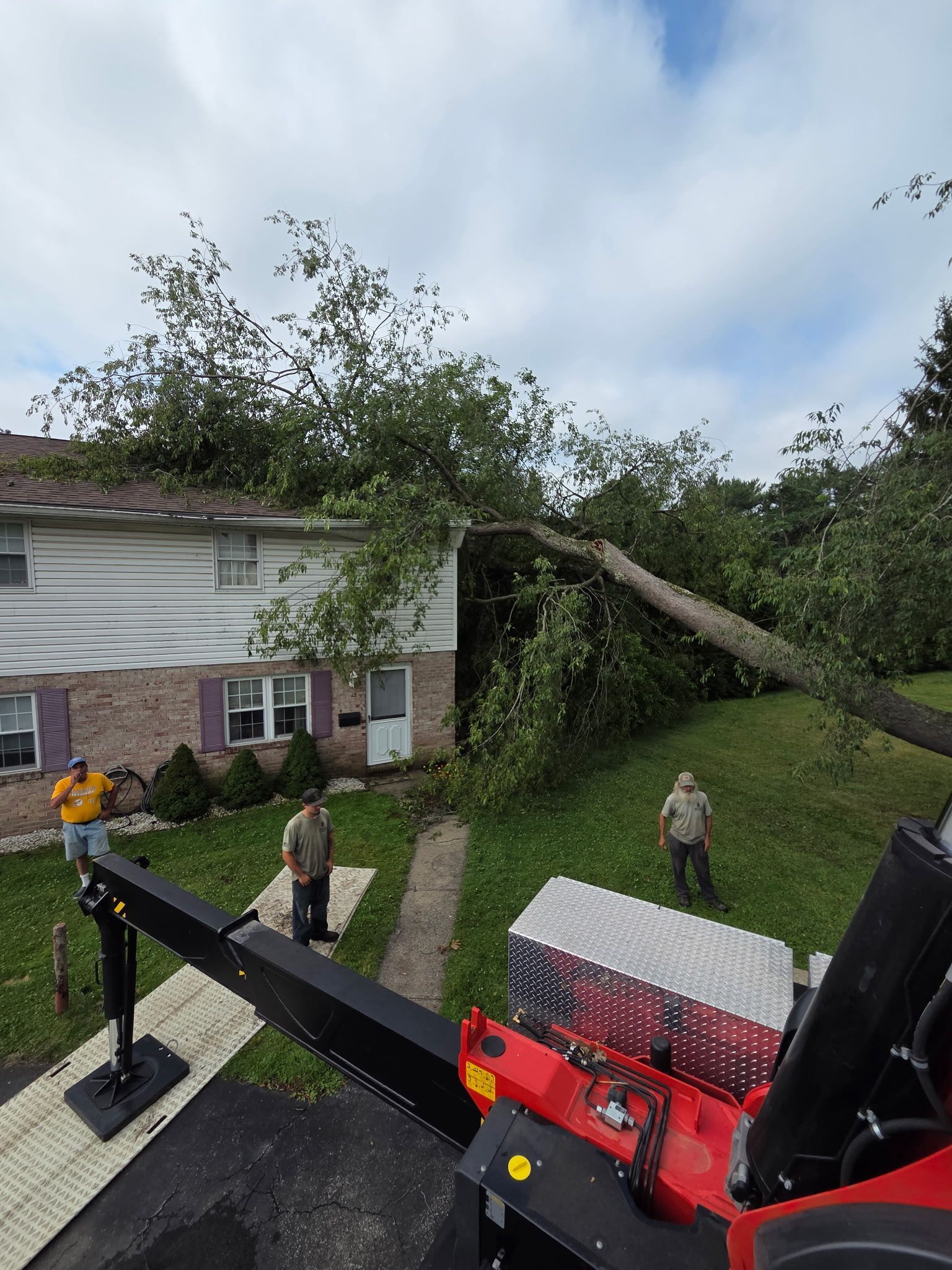 Two workers using a red wood chipper to clear a large fallen tree in a suburban yard