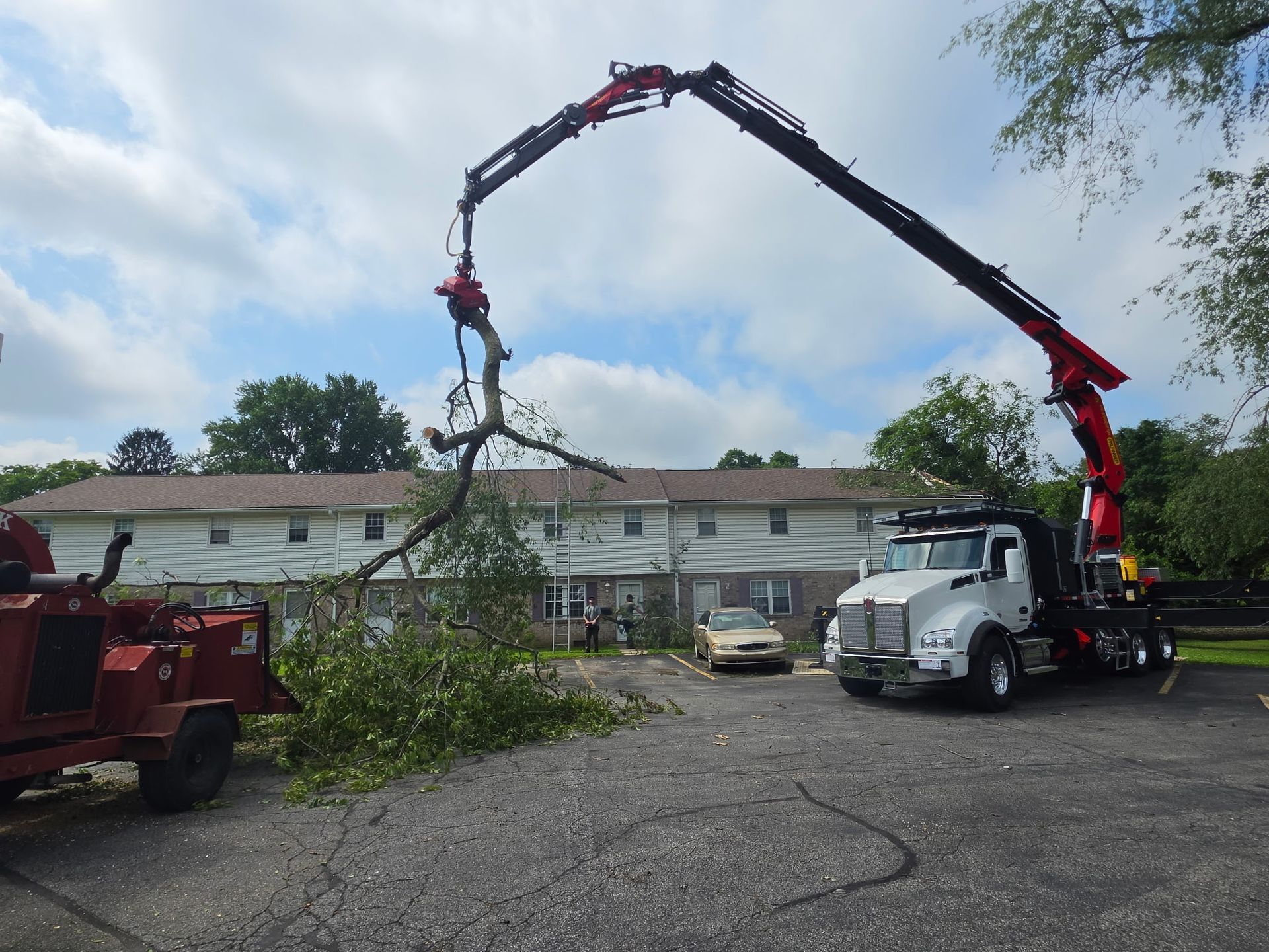 Red crane lifting a tree branch beside a white truck in a parking lot near a building