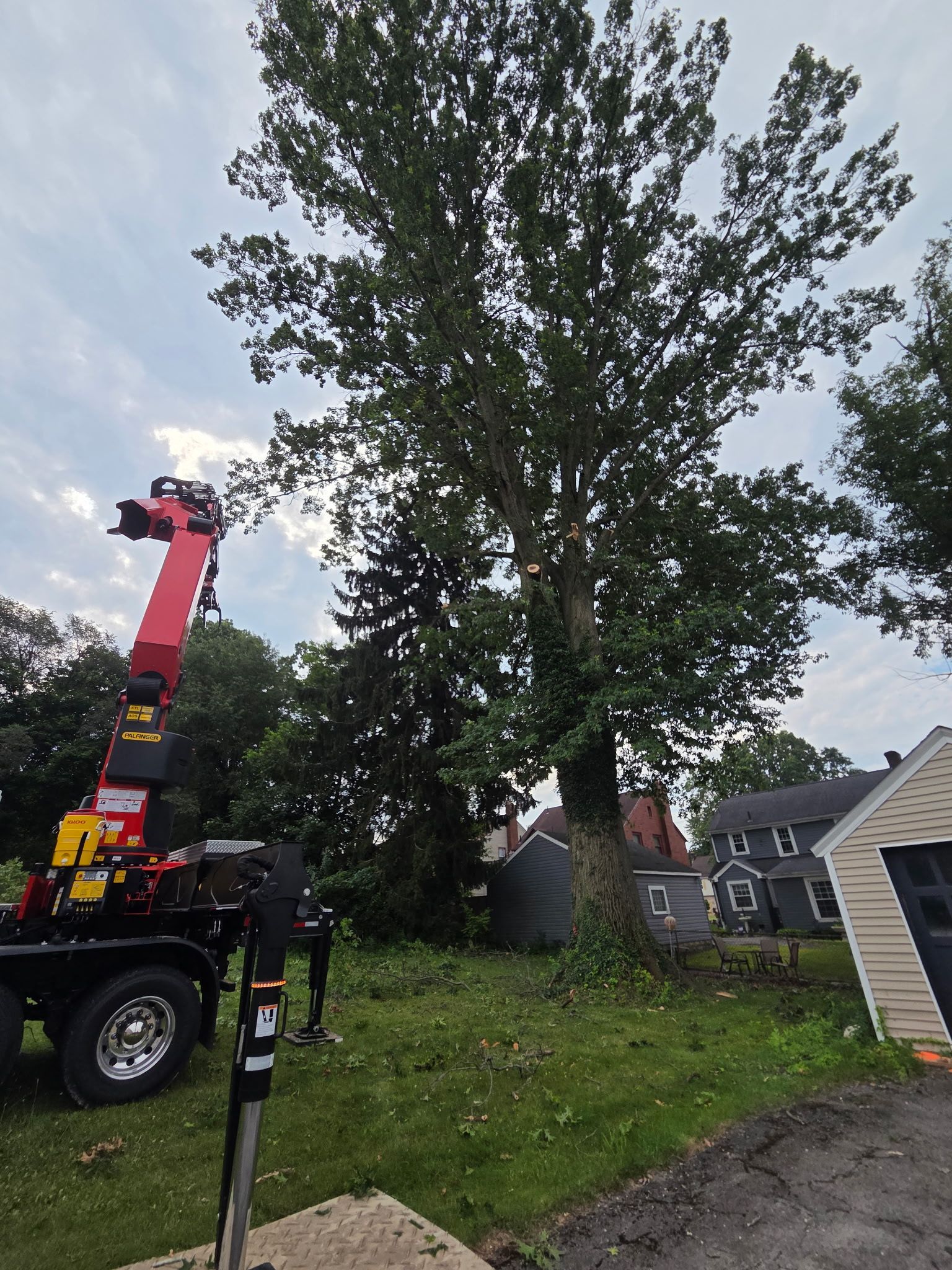 Red crane lifting or trimming a large tree beside a suburban house and driveway at dusk
