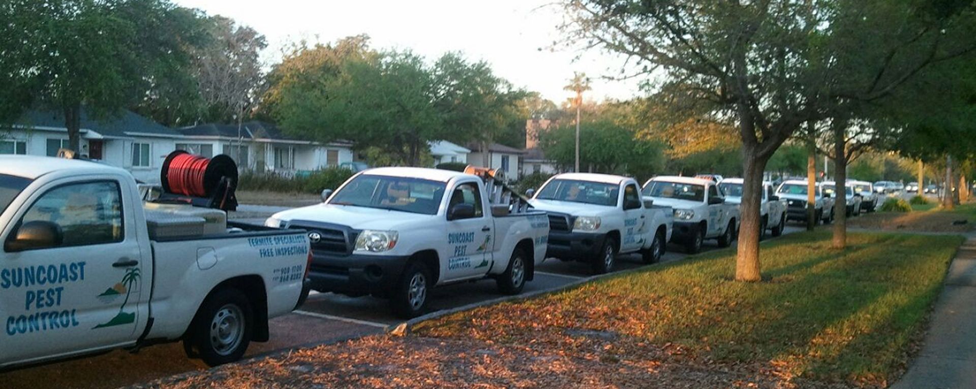 White pest control trucks parked along a street, with houses and trees in the background.