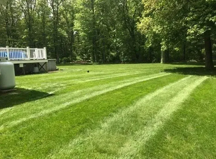 A freshly mowed green lawn with distinct striped patterns, leading toward a wooden deck and a line of trees in the back.