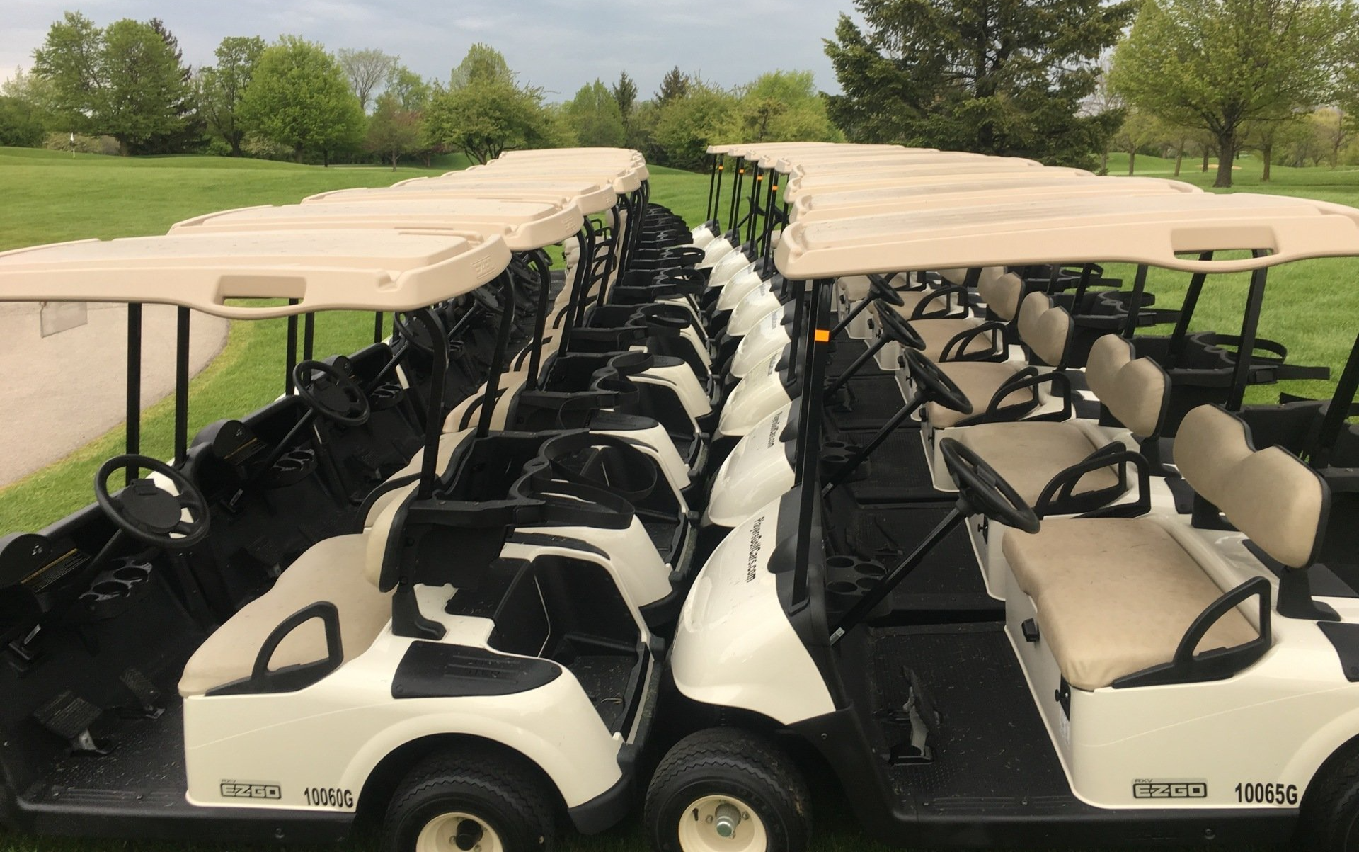 Golf cars for rent