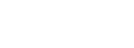 The Mane Salon - Logo