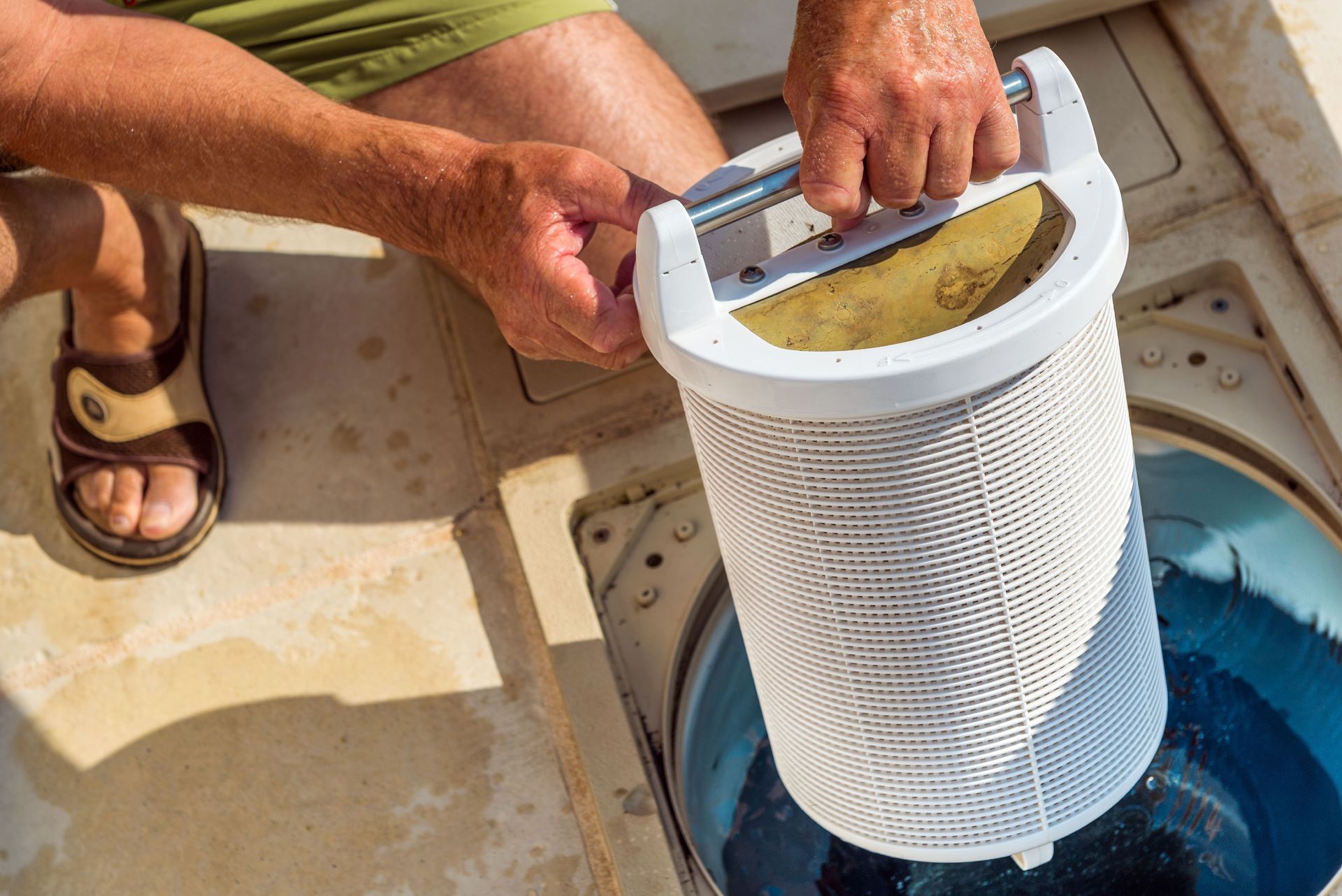 Person removing a pool filter basket from a skimmer.