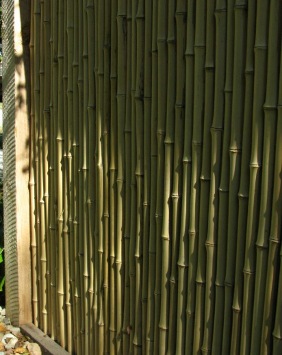 Vertical bamboo stalks tightly aligned to form a wall or privacy screen with dappled sunlight.