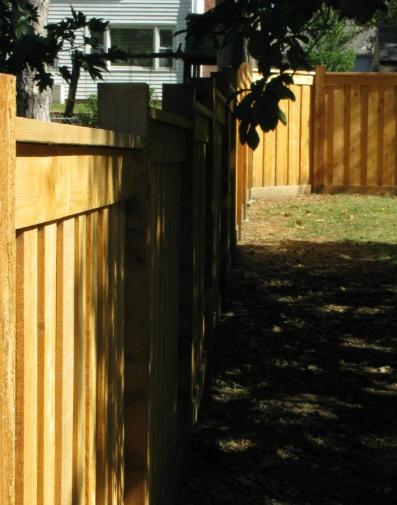A close-up view of a wooden privacy fence extending into a sunny backyard with trees and a house in the background.