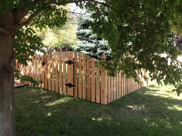 A wooden arched picket fence with a gate, viewed from a grassy yard shaded by tree branches.