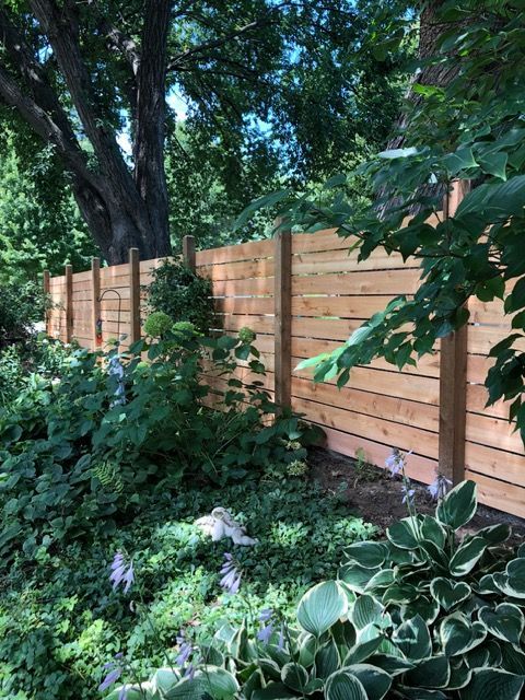 A horizontal wood slat fence runs through a lush garden with green foliage and large trees.