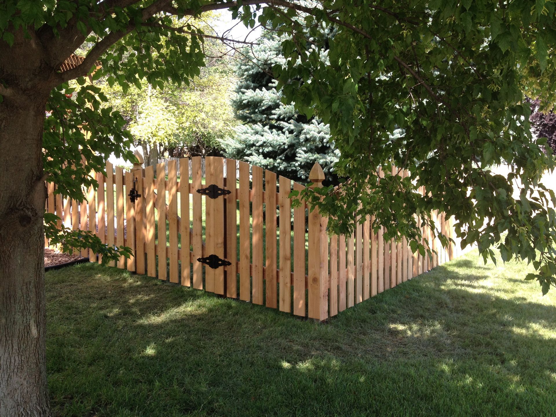 A curved, light-wood picket fence with a gate stands on a grassy lawn, partially shaded by the canopy of a large tree.