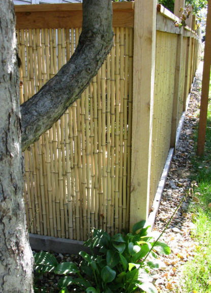 A light-colored bamboo slat fence framed by wood posts, positioned outdoors next to a tree and some green plants.