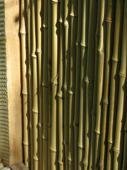 A vertical wall of smooth, light green bamboo poles positioned next to a wooden fence post in bright sunlight.