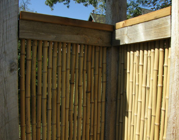 A corner of a wooden fence featuring bamboo panels framed by sturdy vertical posts.
