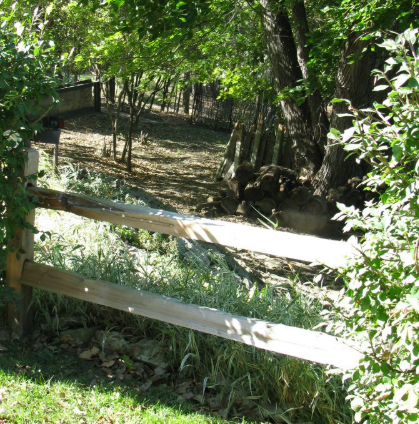 A wooden split-rail fence runs across a grassy area toward a wooded, sunlit forest edge.