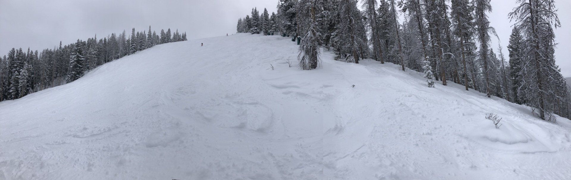 A person is skiing down a snow covered slope with trees in the background.