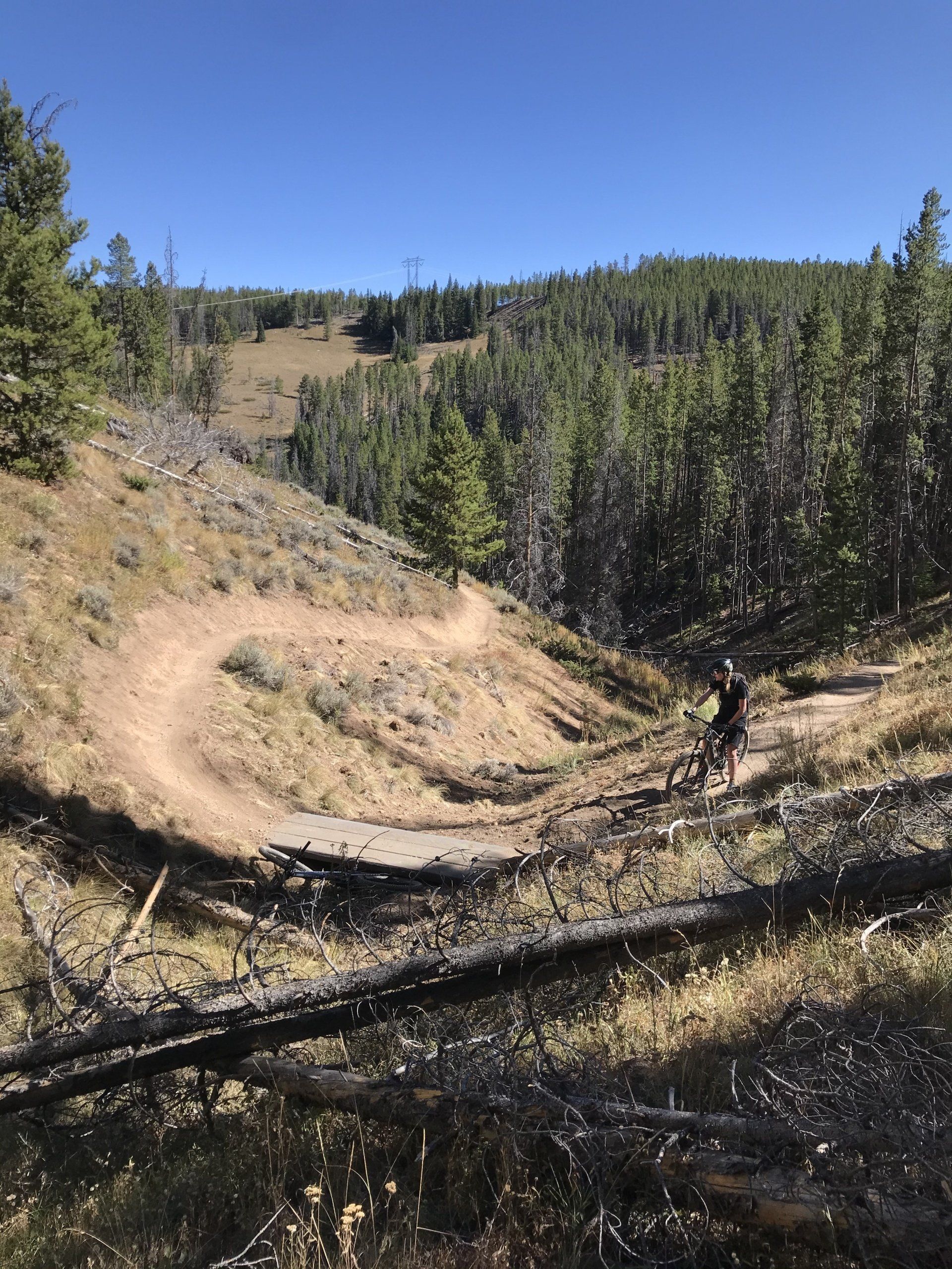 Mountain bike trail in Breckenridge, CO.
