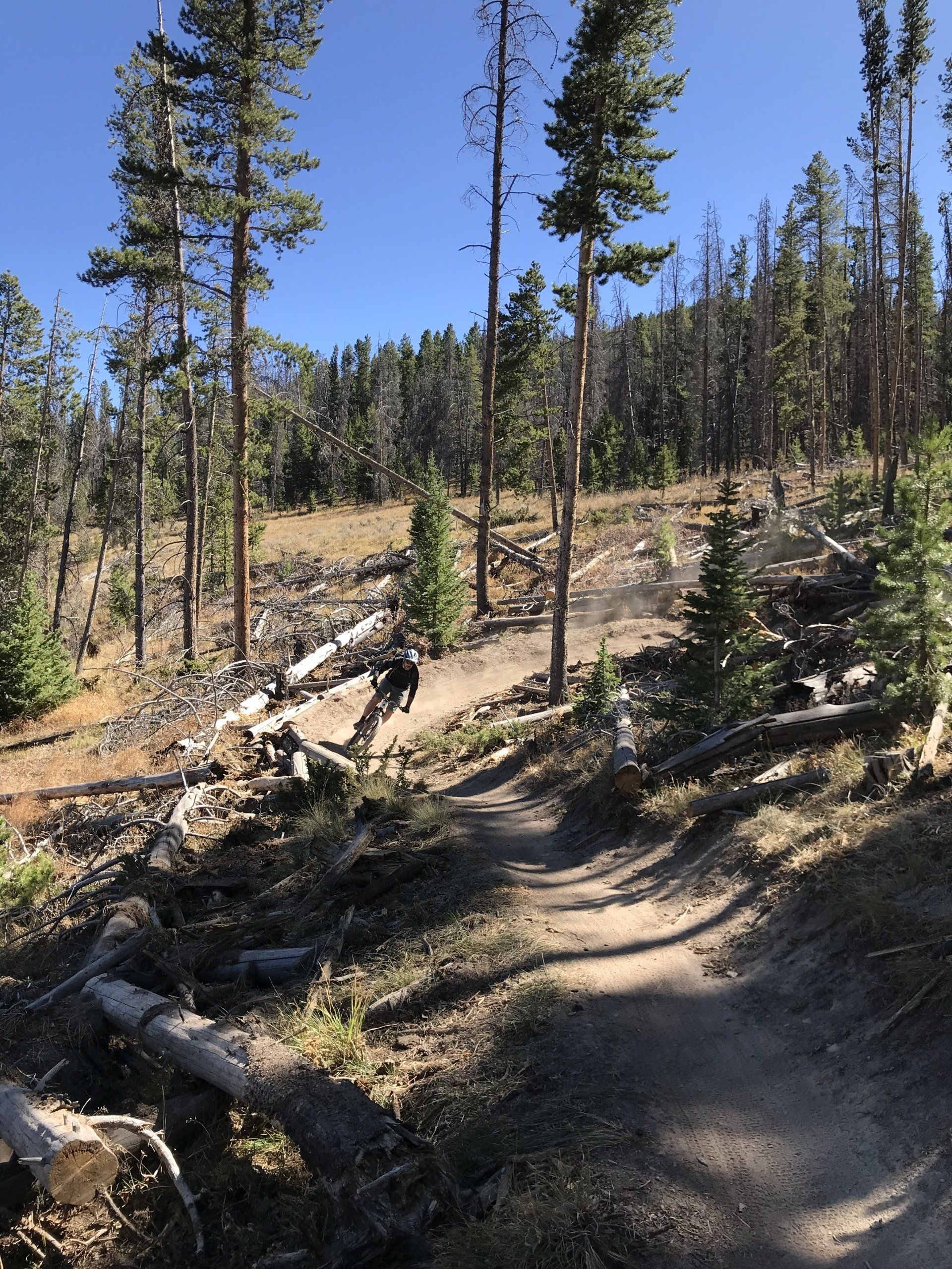 Mountain Biking in Breckenridge, CO.