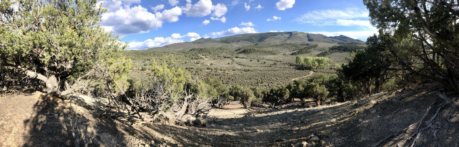 A panoramic view of a dirt road with trees and mountains in the background.