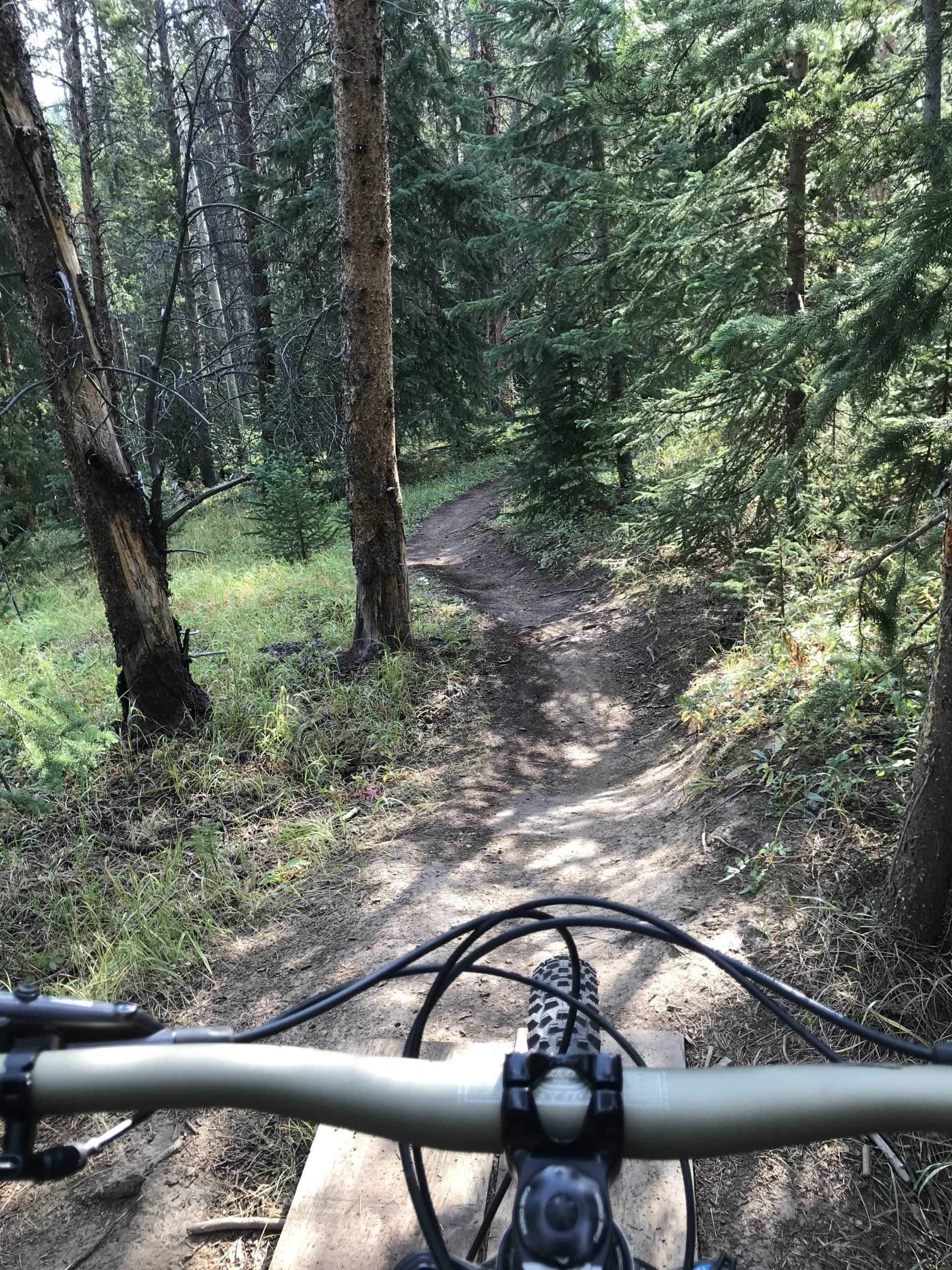 Mountain bike trail in Breckenridge, CO.