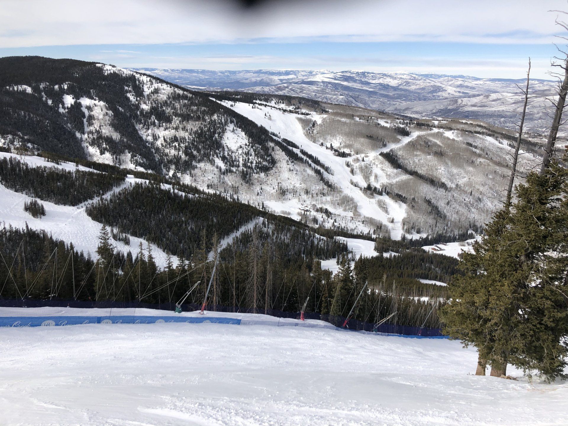 A snowy mountain with trees on the side of it