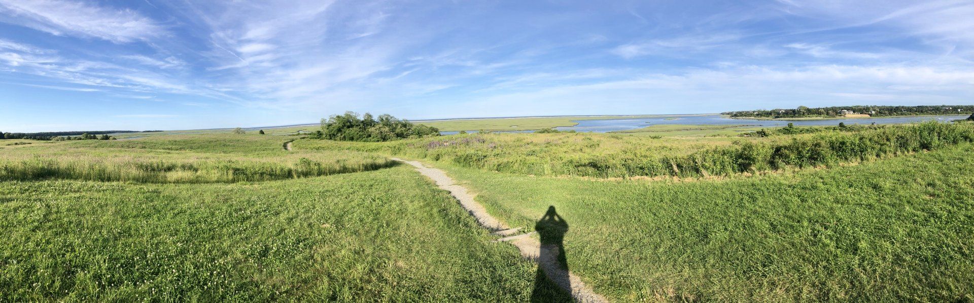 A person is walking down a path in a field.