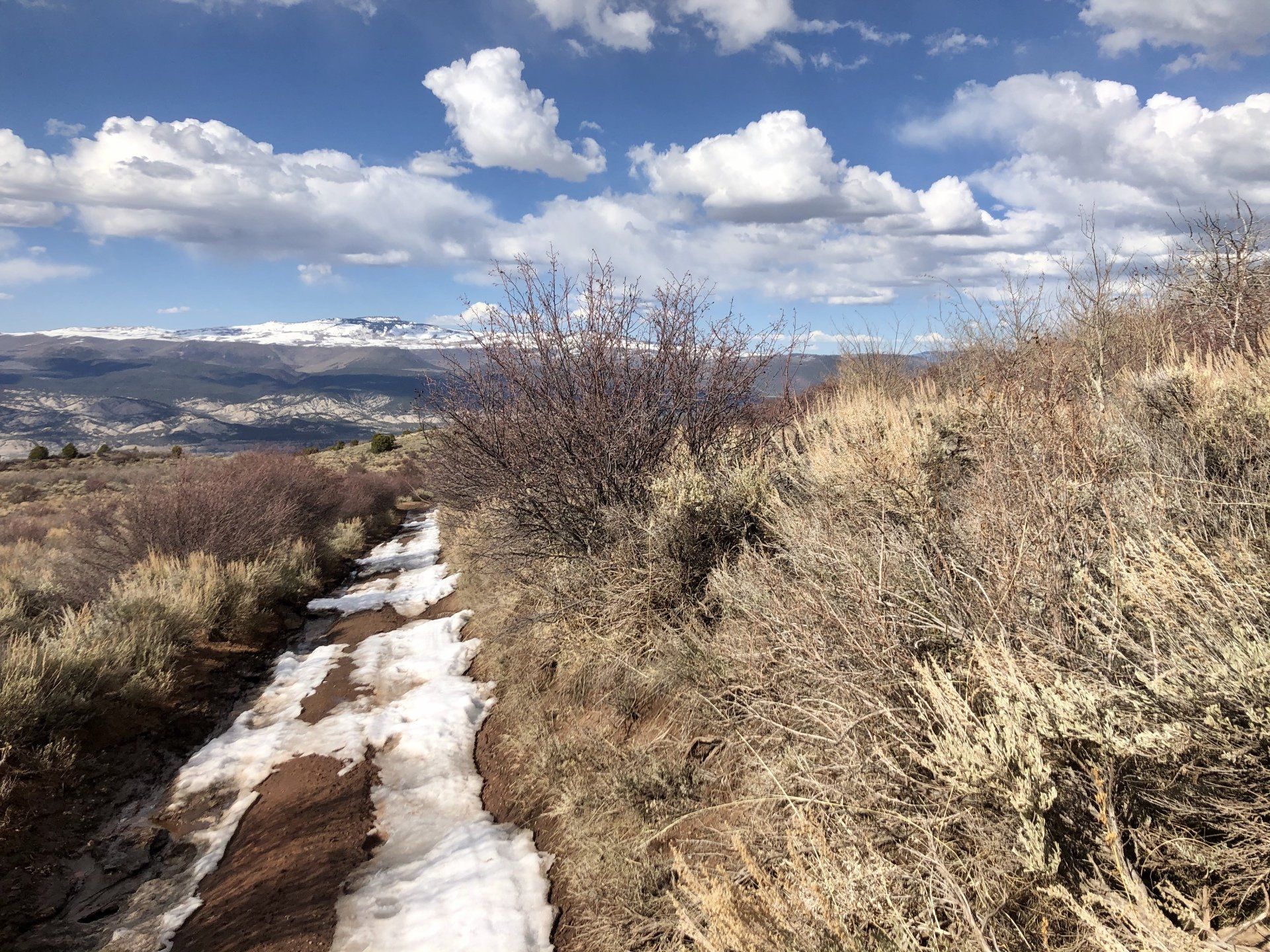 A snowy path in the middle of a field with mountains in the background.