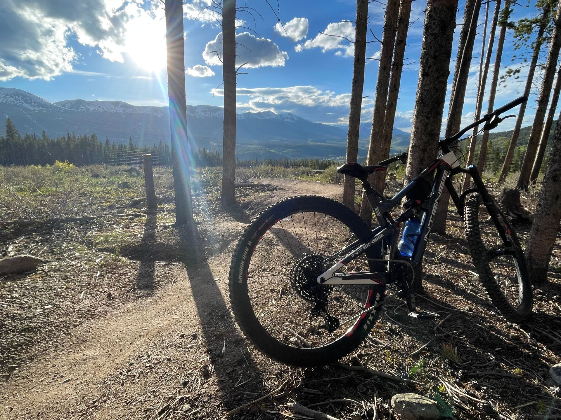 A mountain bike is parked in the middle of a forest.