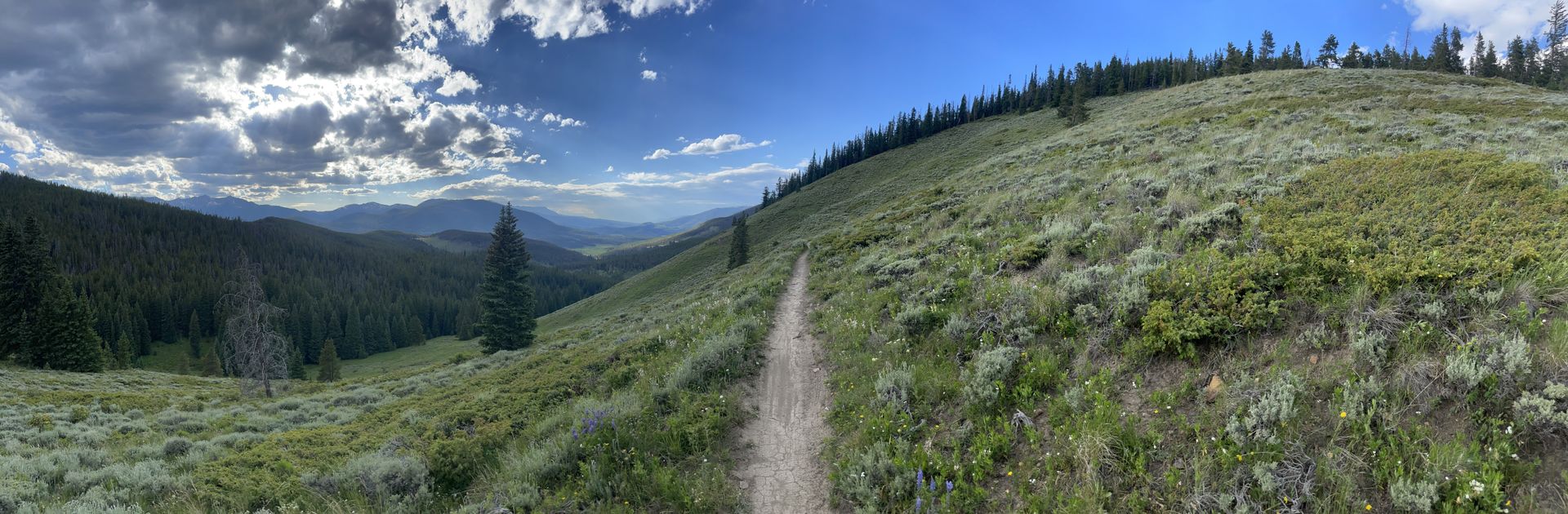 A dirt road going up a hill in the mountains.