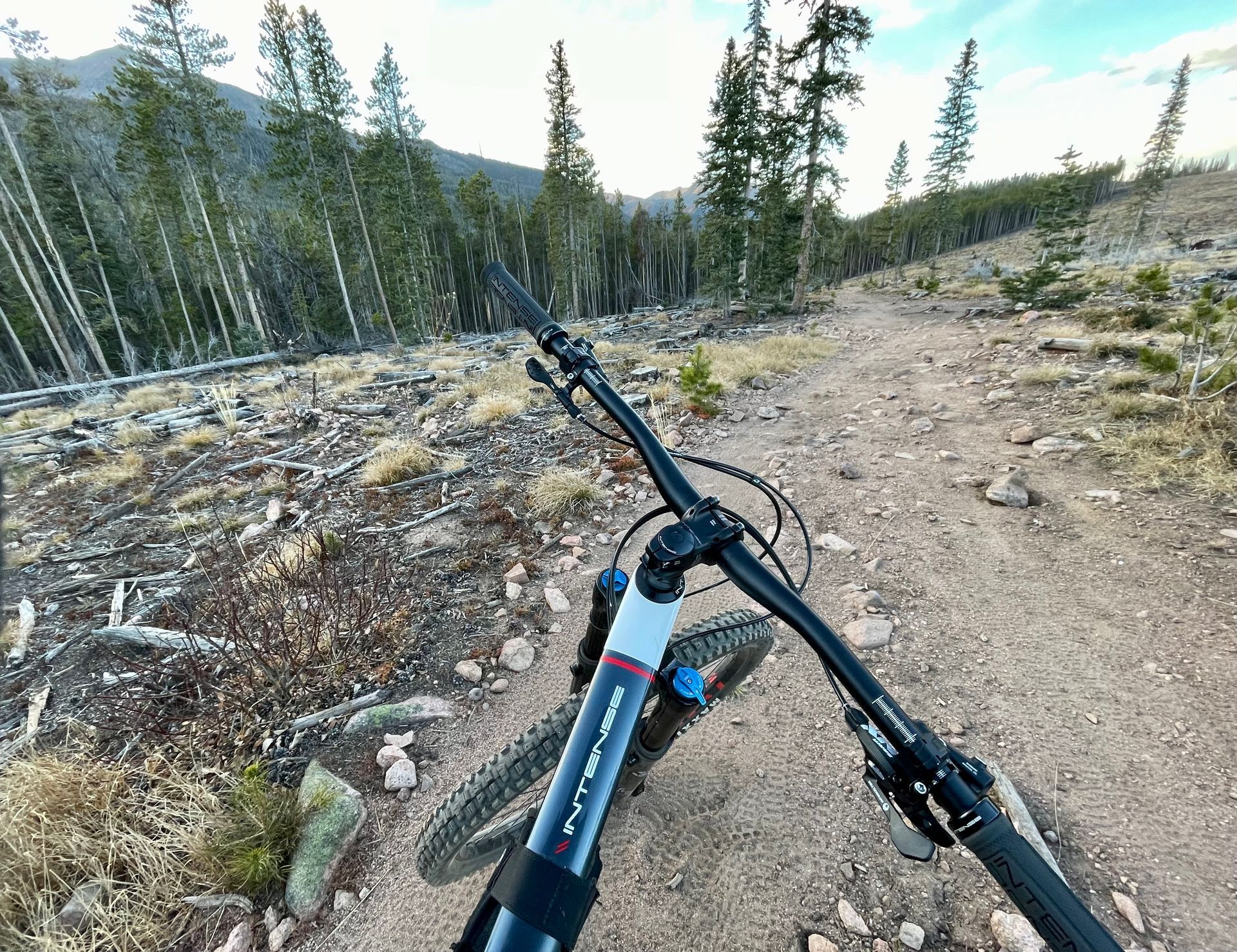 Mountain biking in Breckenridge, CO.