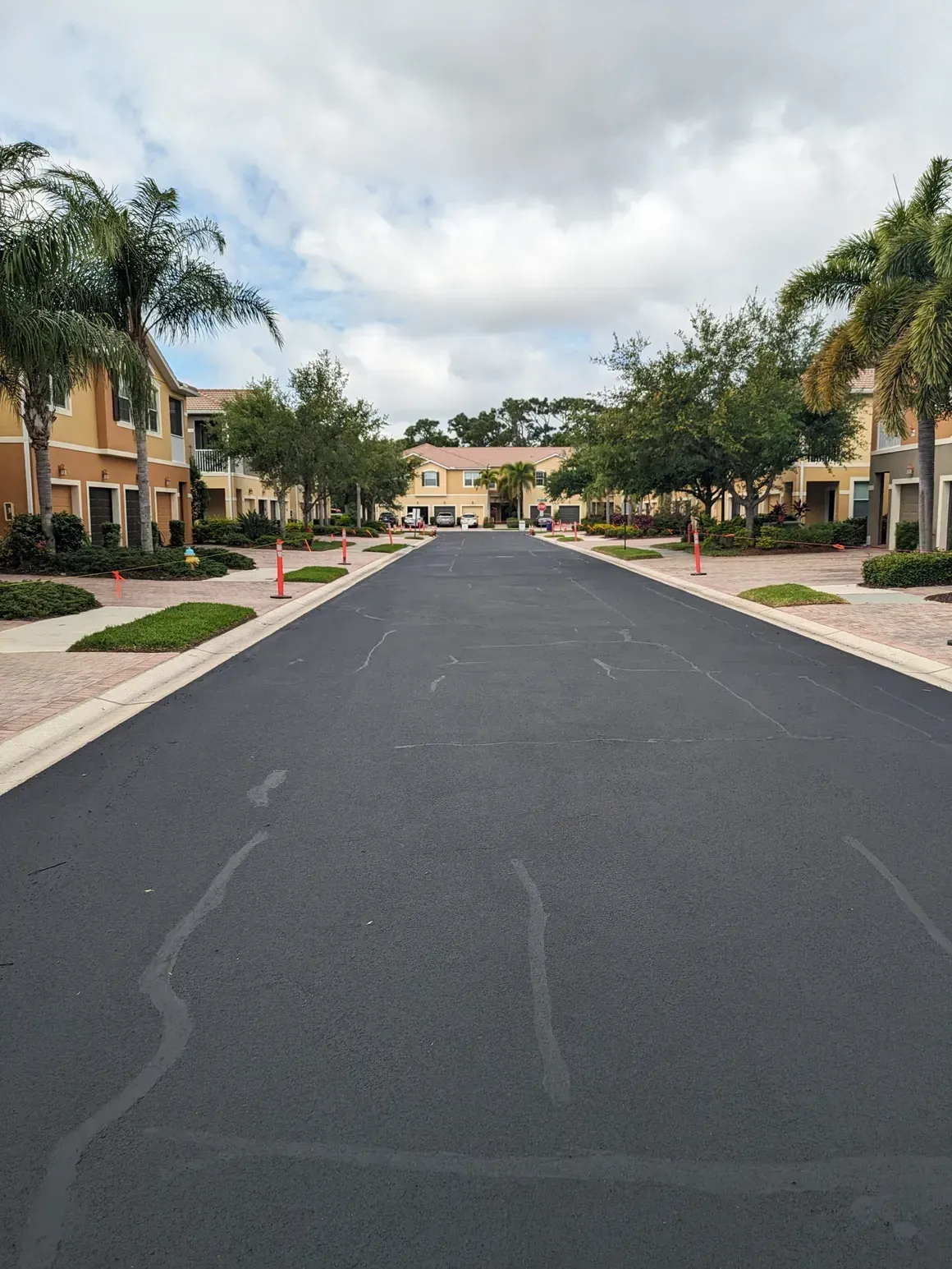 Palm-lined residential street with beige houses and a cloudy sky