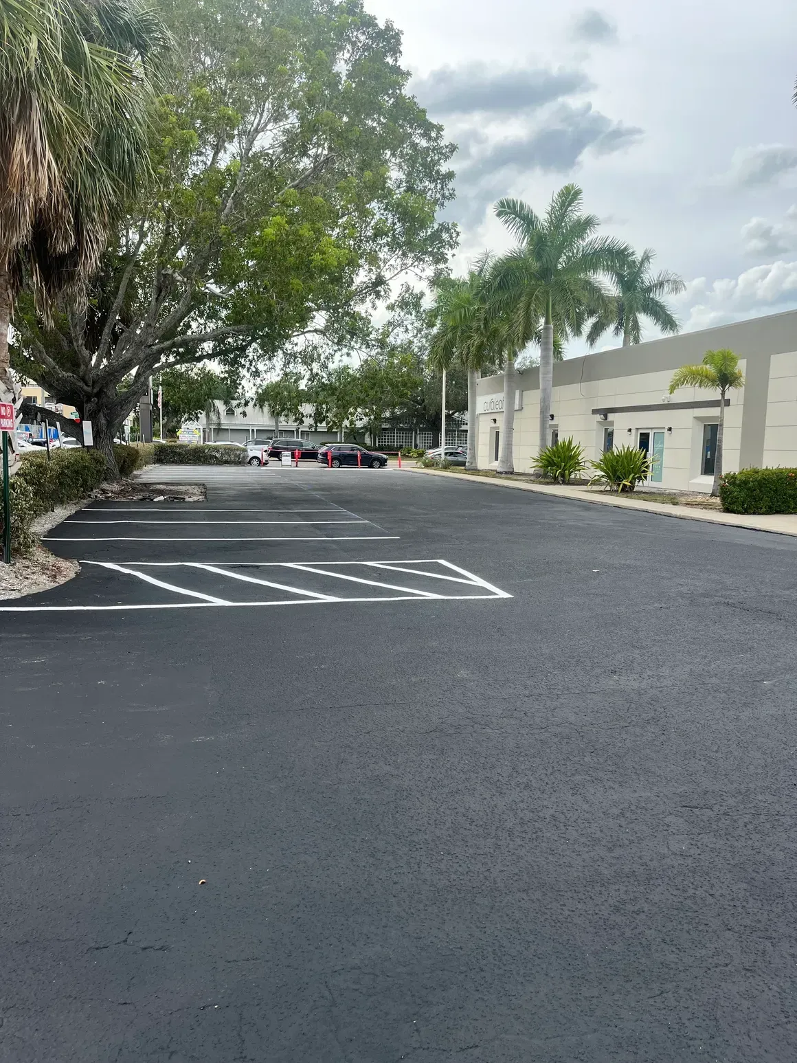 Empty parking lot with white road markings, trees, and a white building on a cloudy day