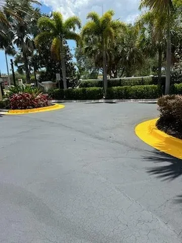 Sunny driveway with palm trees, shrubs, and yellow-curbed landscaping area.