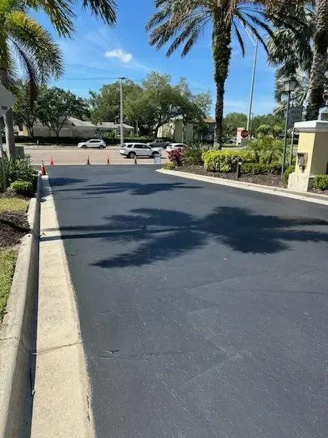 Sunny residential street with palm trees, parked cars, and orange traffic cones near a curb.
