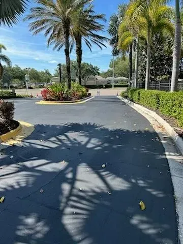 Palm-lined driveway with hedges, flower beds, and bright sunlight casting shadows on the pavement