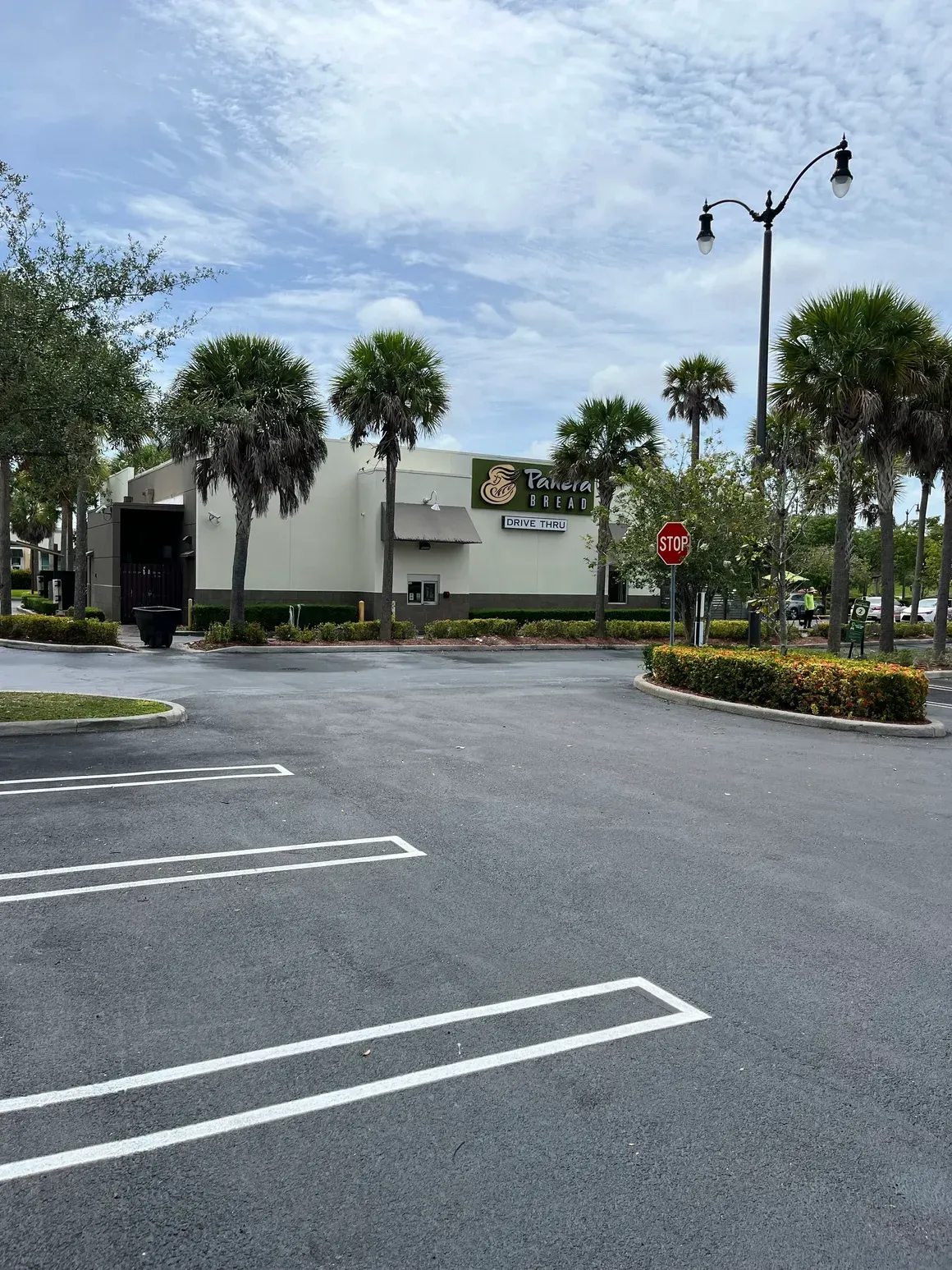 Empty parking lot outside a white building with palm trees and a streetlamp under a cloudy sky