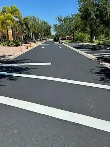 Quiet suburban street with fresh dark asphalt, white lane markings, palm trees, and parked cars on both sides