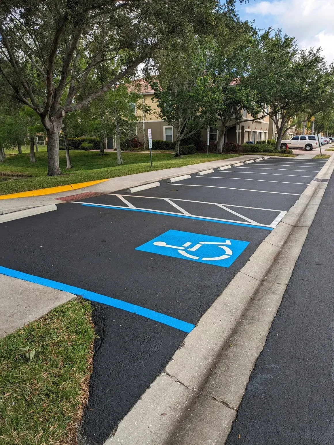 Accessible parking spaces painted blue along a curbside lot beside trees and apartments