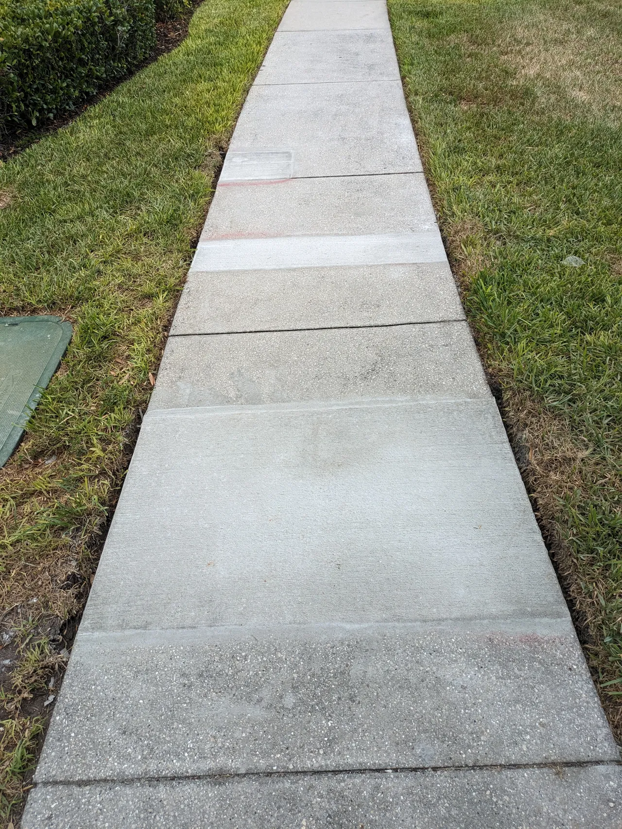 Concrete sidewalk path through green grass lawns