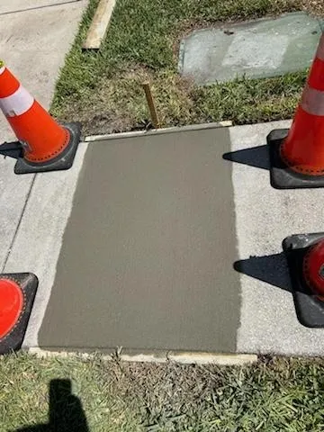 Fresh concrete patch between sidewalk panels, bordered by orange traffic cones on a curbside area.