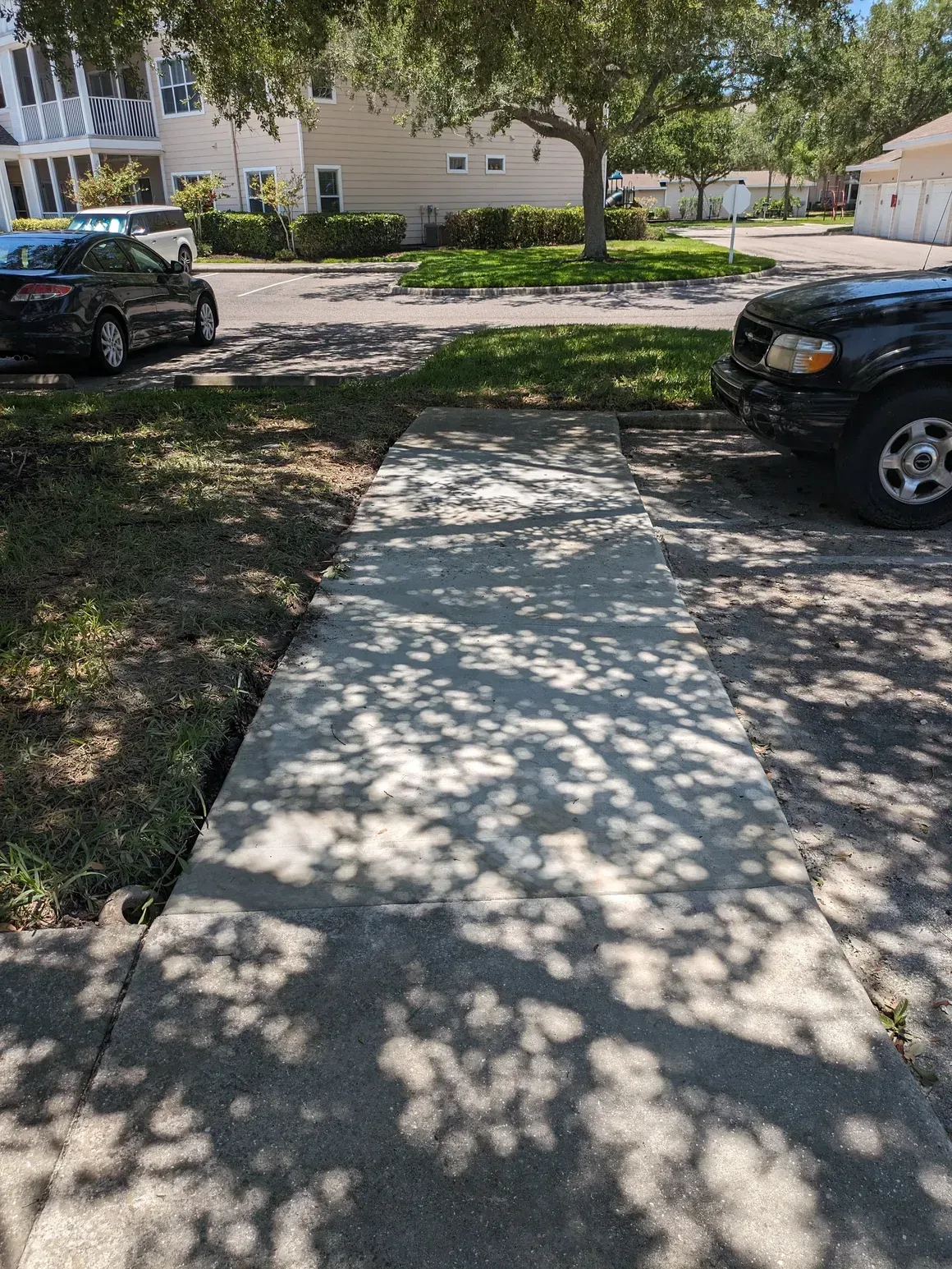 Concrete sidewalk leading through a shaded suburban front yard with parked cars on both sides.