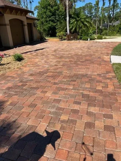 Brick-paved driveway and walkway beside a house, with palm trees and greenery in bright sunlight