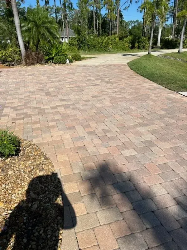 Brick driveway curving through a sunny landscaped garden with palm trees and grass