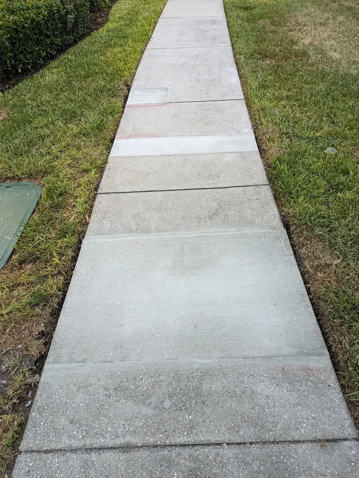 Concrete sidewalk path between green grass lawns