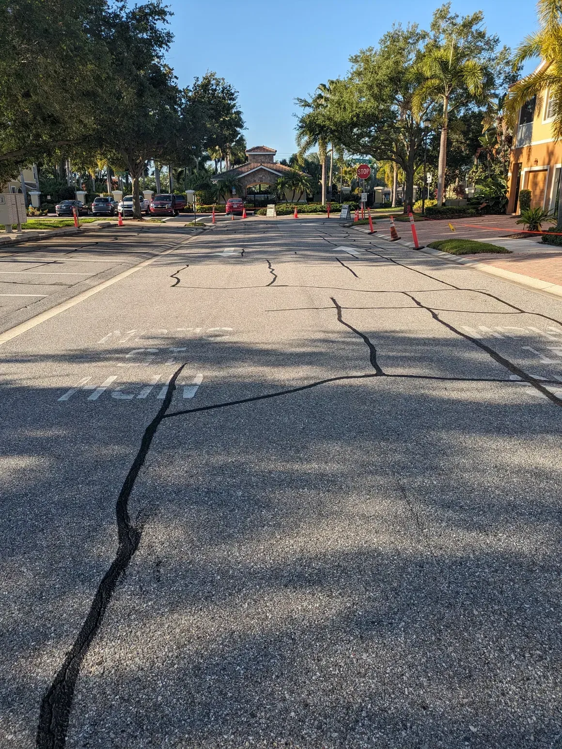Cracked asphalt driveway leading to a tree-lined parking area in bright sunlight