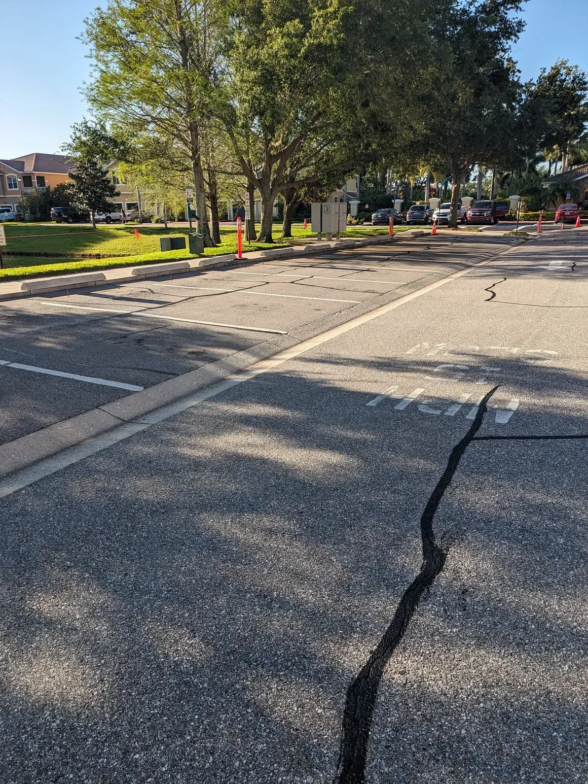 Cracked parking lot beside trees and a grassy verge in bright sunlight