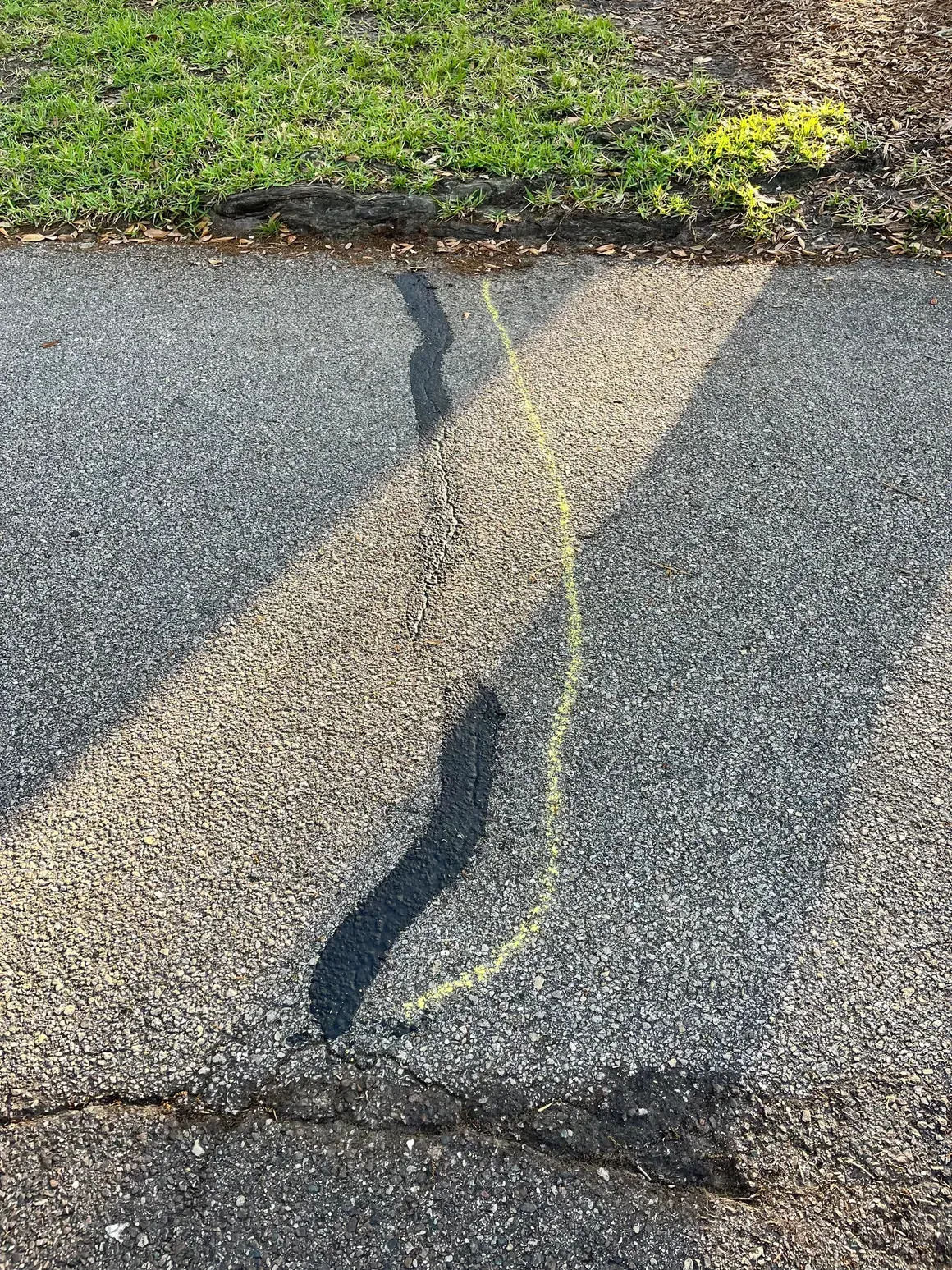 Cracked asphalt road with a dark tar patch and grass along the edge.