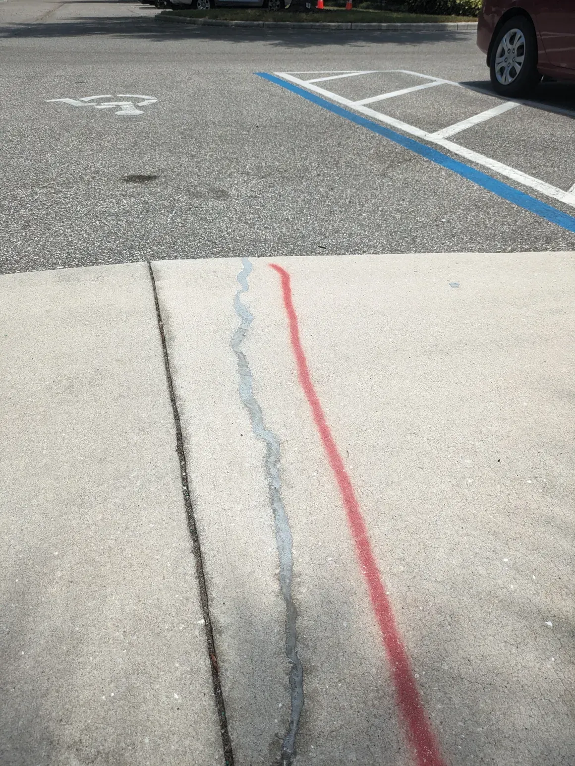 Cracked concrete sidewalk with blue and red painted lines beside a parking lot spot