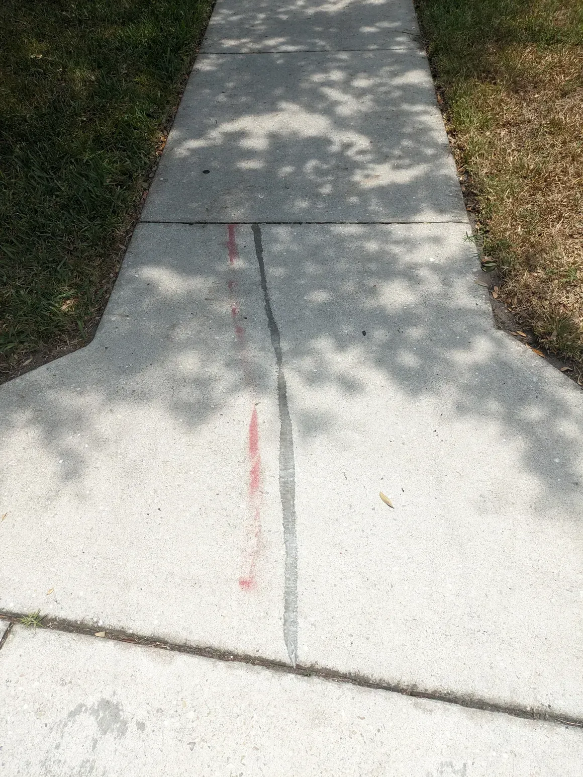 Concrete sidewalk with a red marking and tree shadows beside grass edges