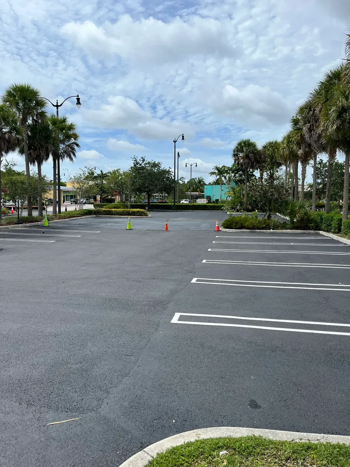 Empty parking lot with white spaces, orange cones, palm trees, and cloudy sky.