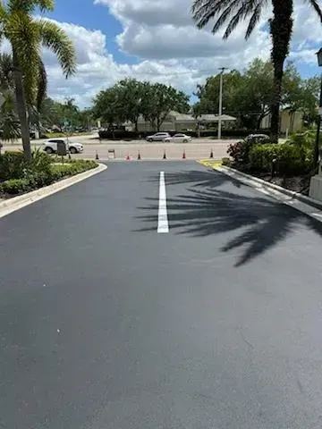 Empty paved driveway with a white center line, palm trees, and orange cones blocking the entrance.